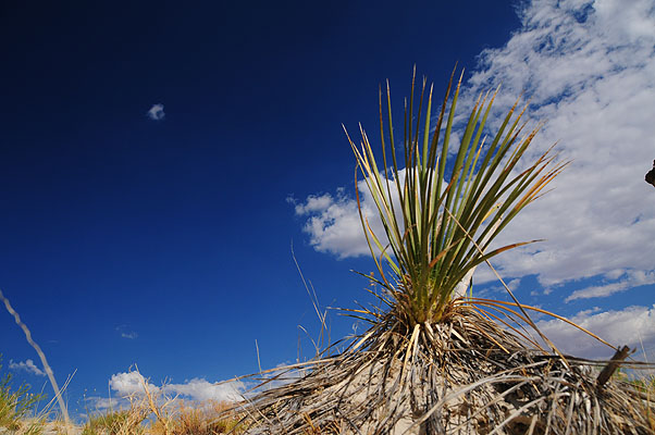 DSC_2672.jpg (4288x2848) NIKON D300 - 18-200mm f/3.5-5.6 // F9 // 1/320 sec // ISO 200 // 18,0 mm // no Flash // 2008:07:16 16:11:07 DSC_2672.jpg (4288x2848) NIKON D300 - 18-200mm f/3.5-5.6 // F9 // 1/320 sec // ISO 200 // 18,0 mm // no Flash // 2008:07:16 16:11:07
